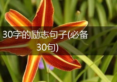 30字的励志句子(必备30句)