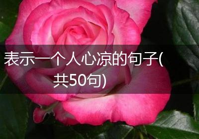表示一个人心凉的句子(共50句)