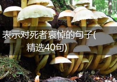 表示对死者哀悼的句子(精选40句)