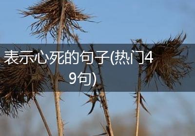 表示心死的句子(热门49句)
