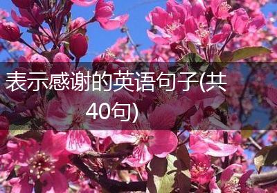 表示感谢的英语句子(共40句)