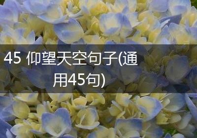 45 仰望天空句子(通用45句)