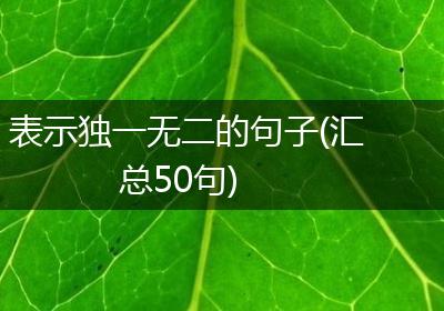 表示独一无二的句子(汇总50句)