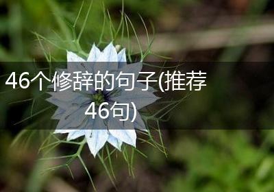 46个修辞的句子(推荐46句)