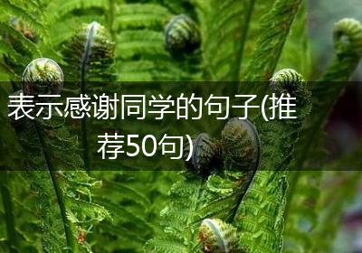 表示感谢同学的句子(推荐50句)
