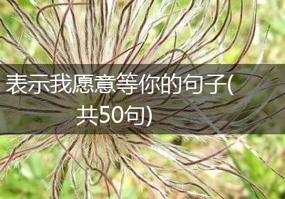 表示我愿意等你的句子(共50句)