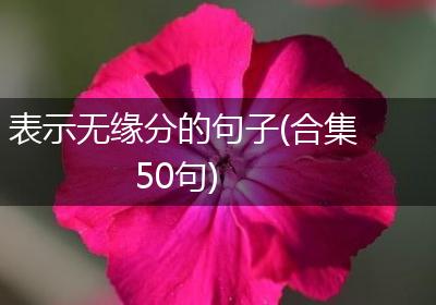 表示无缘分的句子(合集50句)