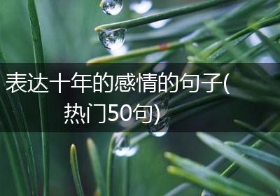表达十年的感情的句子(热门50句)