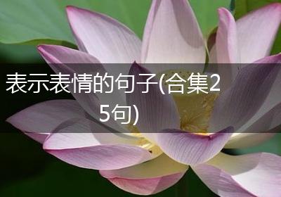 表示表情的句子(合集25句)