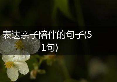表达亲子陪伴的句子(51句)