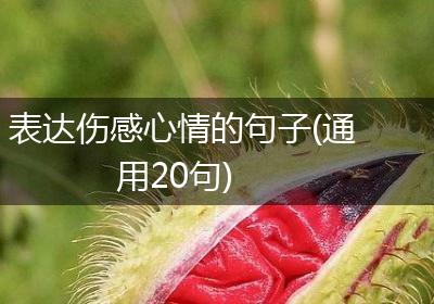 表达伤感心情的句子(通用20句)