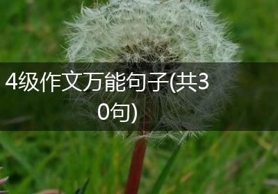 4级作文万能句子(共30句)