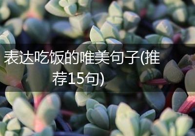 表达吃饭的唯美句子(推荐15句)