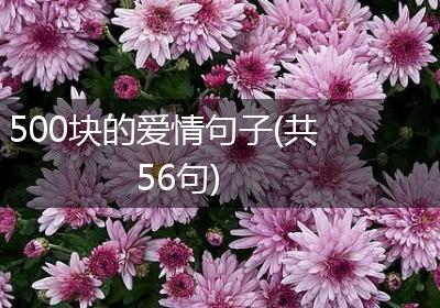 500块的爱情句子(共56句)
