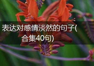 表达对感情淡然的句子(合集40句)