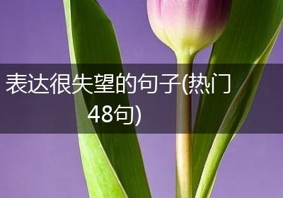 表达很失望的句子(热门48句)