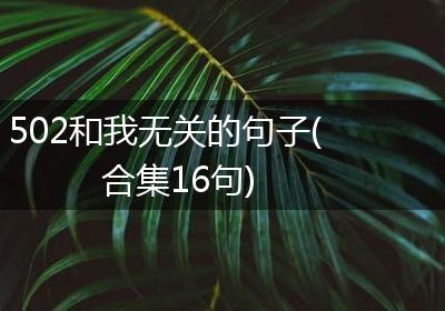 502和我无关的句子(合集16句)