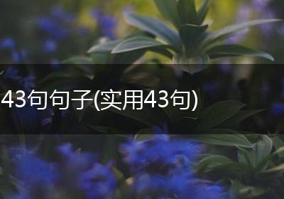 43句句子(实用43句)
