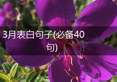 3月表白句子(必备40句)