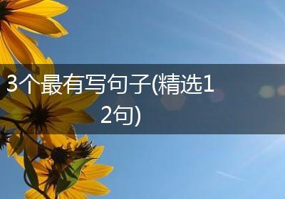3个最有写句子(精选12句)