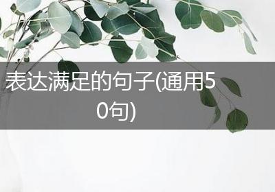 表达满足的句子(通用50句)