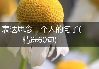 表达思念一个人的句子(精选60句)