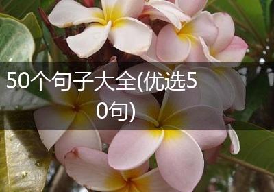 50个句子大全(优选50句)