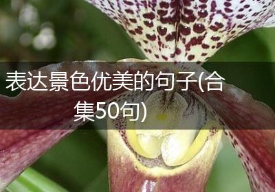 表达景色优美的句子(合集50句)