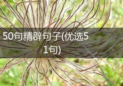 50句精辟句子(优选51句)