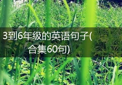 3到6年级的英语句子(合集60句)