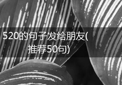 520的句子发给朋友(推荐50句)