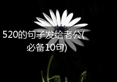 520的句子发给老公(必备10句)
