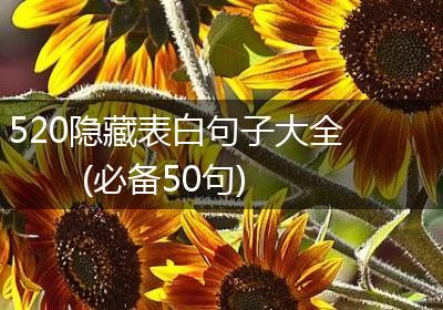 520隐藏表白句子大全(必备50句)