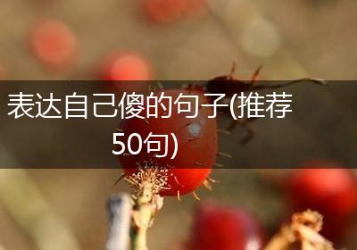 表达自己傻的句子(推荐50句)