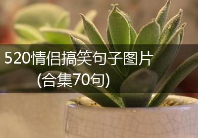 520情侣搞笑句子图片(合集70句)