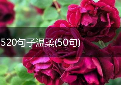 520句子温柔(50句)