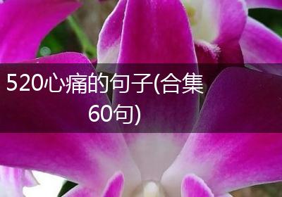 520心痛的句子(合集60句)