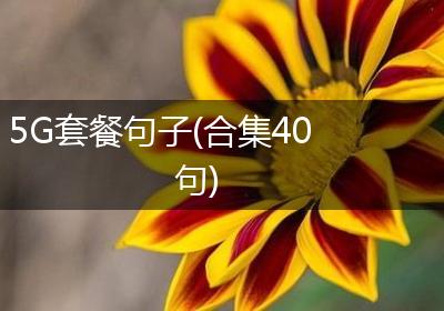 5G套餐句子(合集40句)