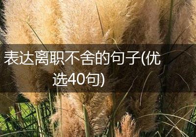 表达离职不舍的句子(优选40句)