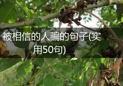 被相信的人骗的句子(实用50句)
