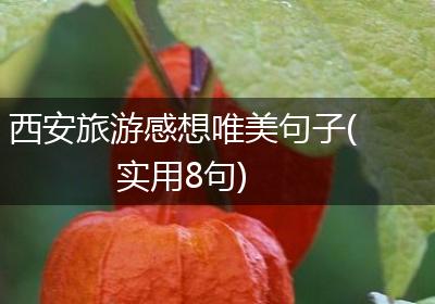 西安旅游感想唯美句子(实用8句)