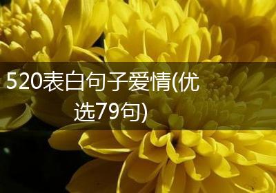 520表白句子爱情(优选79句)
