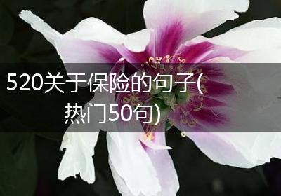 520关于保险的句子(热门50句)