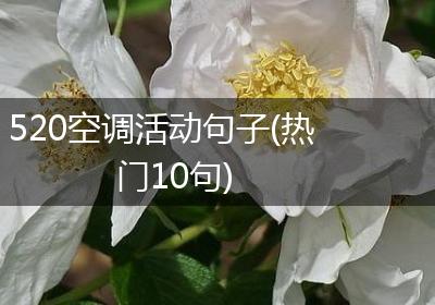 520空调活动句子(热门10句)