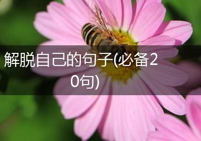解脱自己的句子(必备20句)