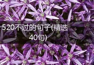 520不过的句子(精选40句)