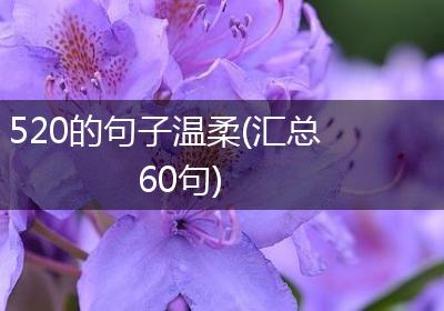 520的句子温柔(汇总60句)