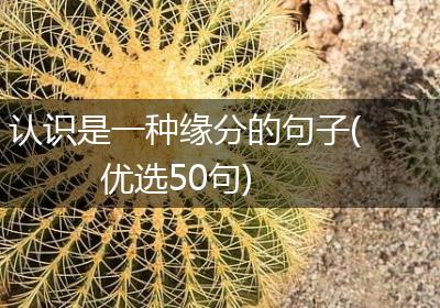 认识是一种缘分的句子(优选50句)
