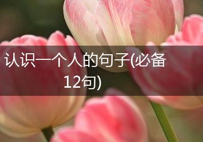 认识一个人的句子(必备12句)