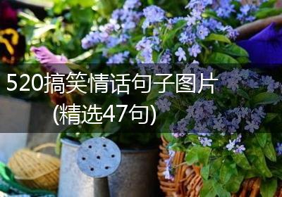 520搞笑情话句子图片(精选47句)